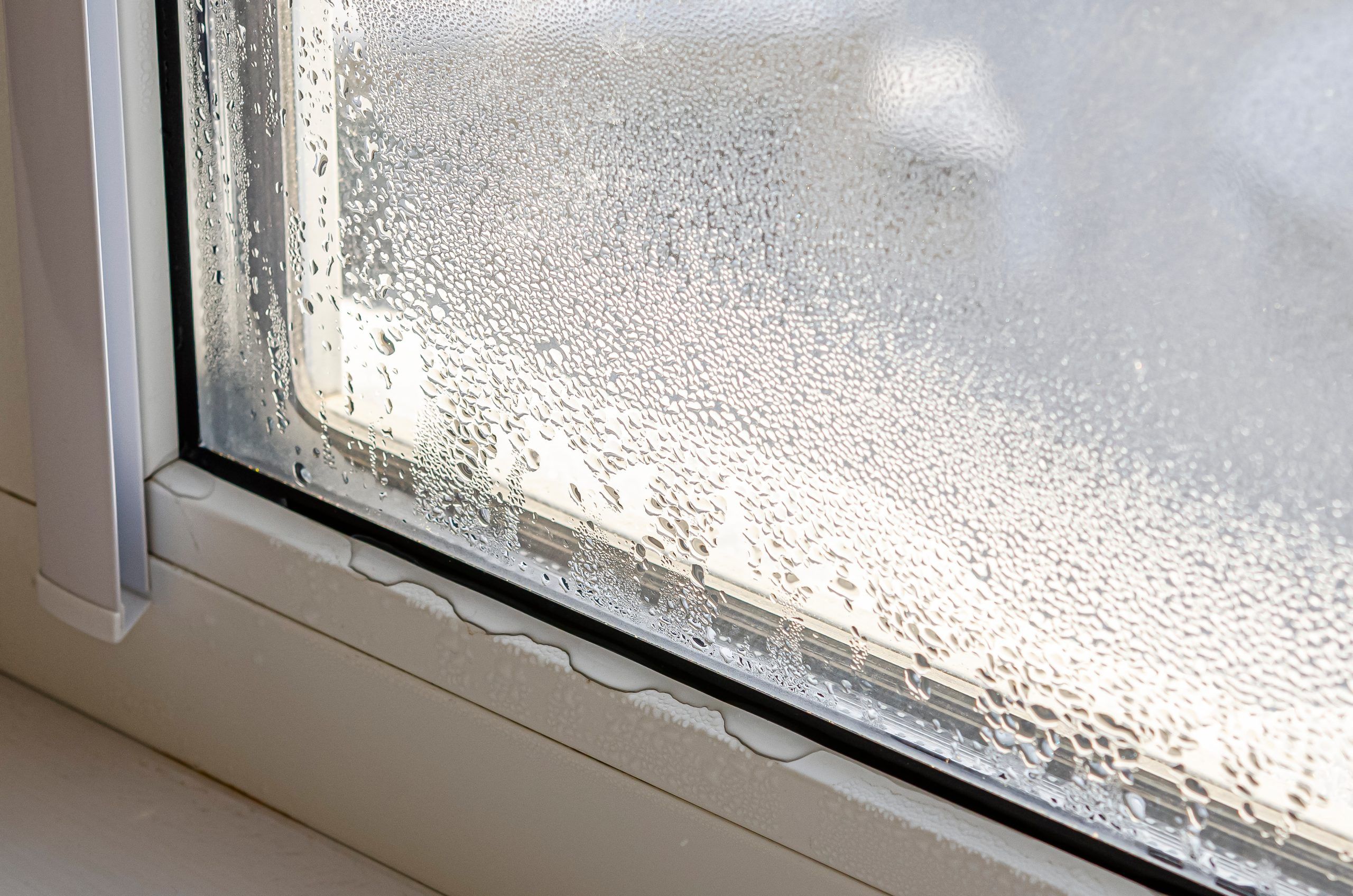 Drops Of Condensate And Black Mold On A Substandard Metal Plastic Window